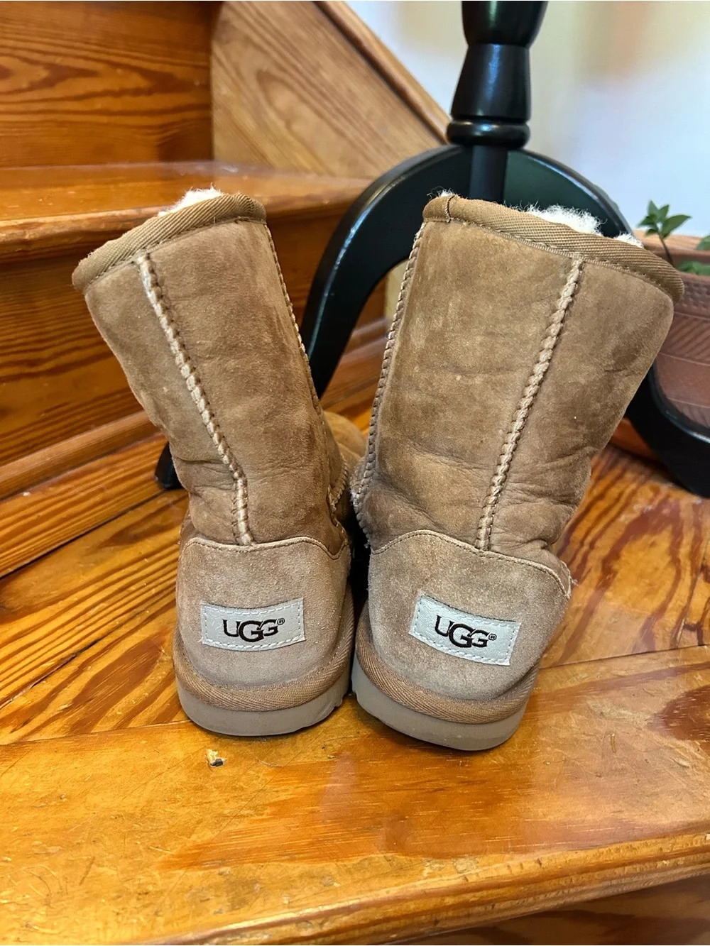 UGG Suede Ankle Boots in Taupe